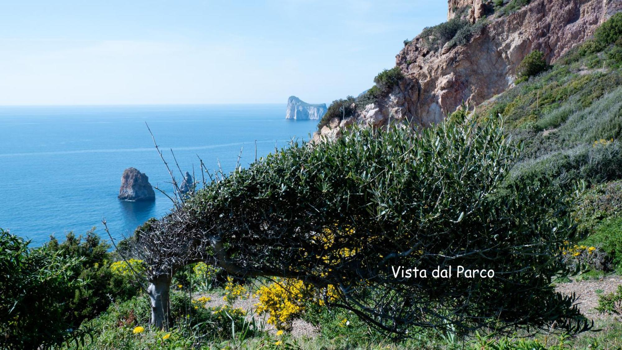La Casa Del Mare Tanca Piras Βίλα Nebida Εξωτερικό φωτογραφία